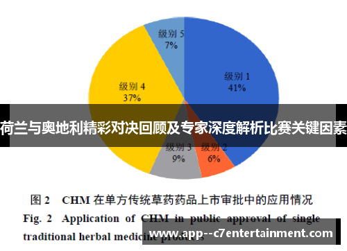 荷兰与奥地利精彩对决回顾及专家深度解析比赛关键因素