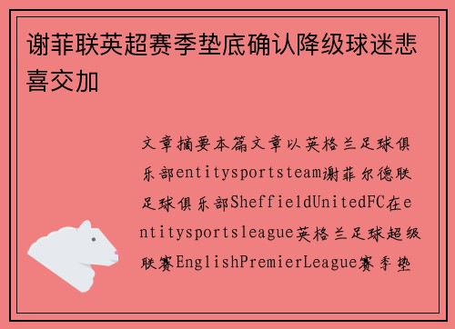 谢菲联英超赛季垫底确认降级球迷悲喜交加